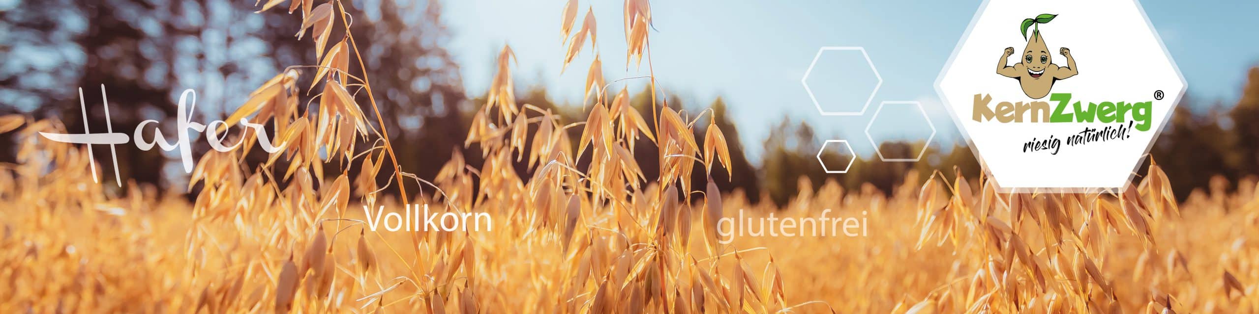 Bestellformular_Header
