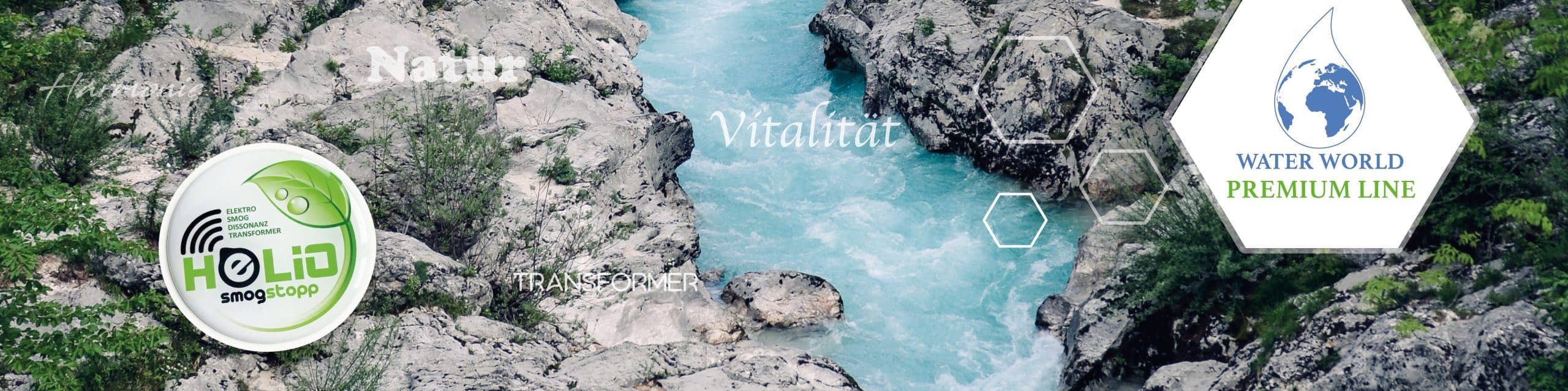 Bestellformular_Header