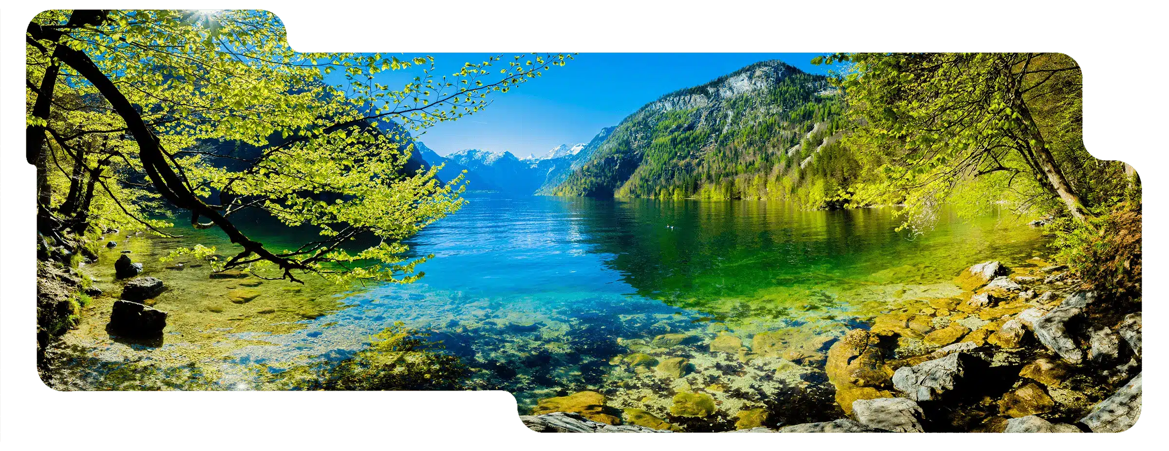 header_green_drop 2